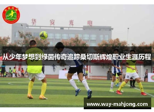 从少年梦想到绿茵传奇追踪桑切斯辉煌职业生涯历程 从少年梦想到绿茵传奇追踪桑切斯辉煌职业生涯历程