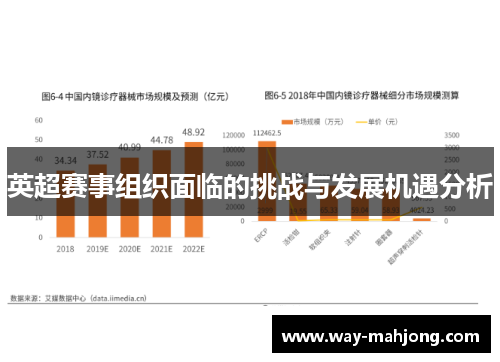 英超赛事组织面临的挑战与发展机遇分析