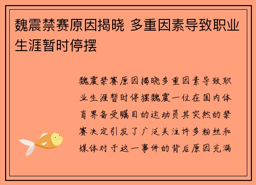 魏震禁赛原因揭晓 多重因素导致职业生涯暂时停摆