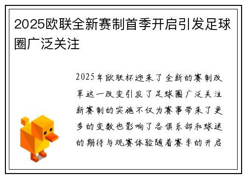 2025欧联全新赛制首季开启引发足球圈广泛关注